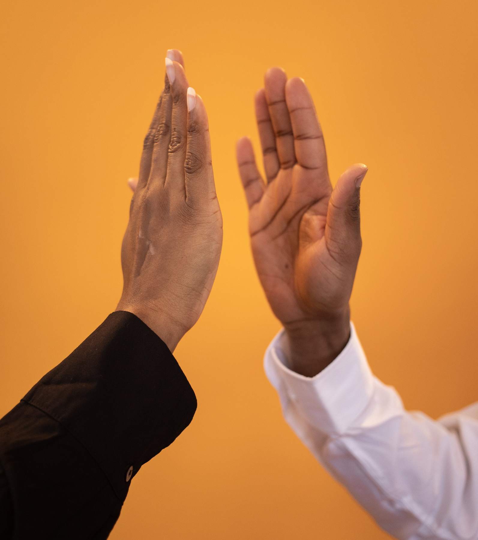 m_pexels-monstera-production-6998462